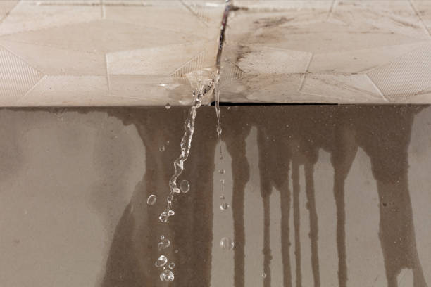 Professional Sewage Cleanup technician working in Woodbine, IA